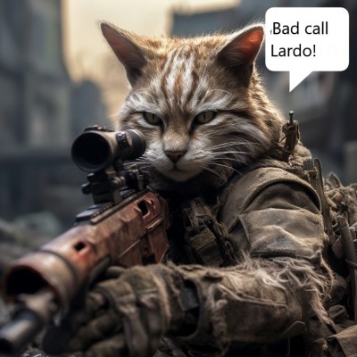 cats-snipers-v0-kdtd65gtnm2b1.jpg