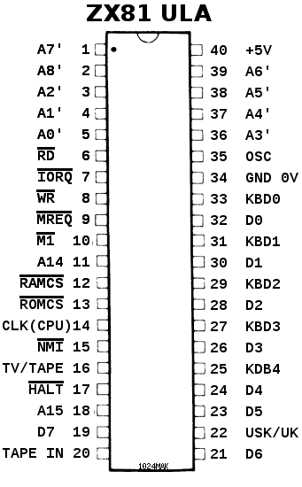 ZX81 ULA